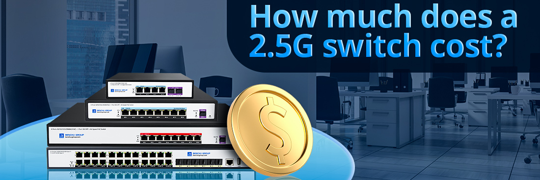 How much does a 2.5G switch cost