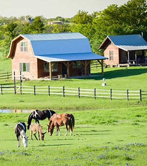 Solar-Powered Farms